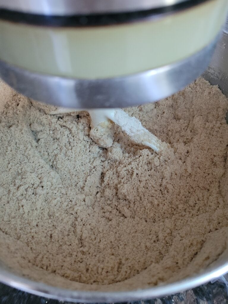 Gingerbread cookie dough after dry ingredients are incorporated