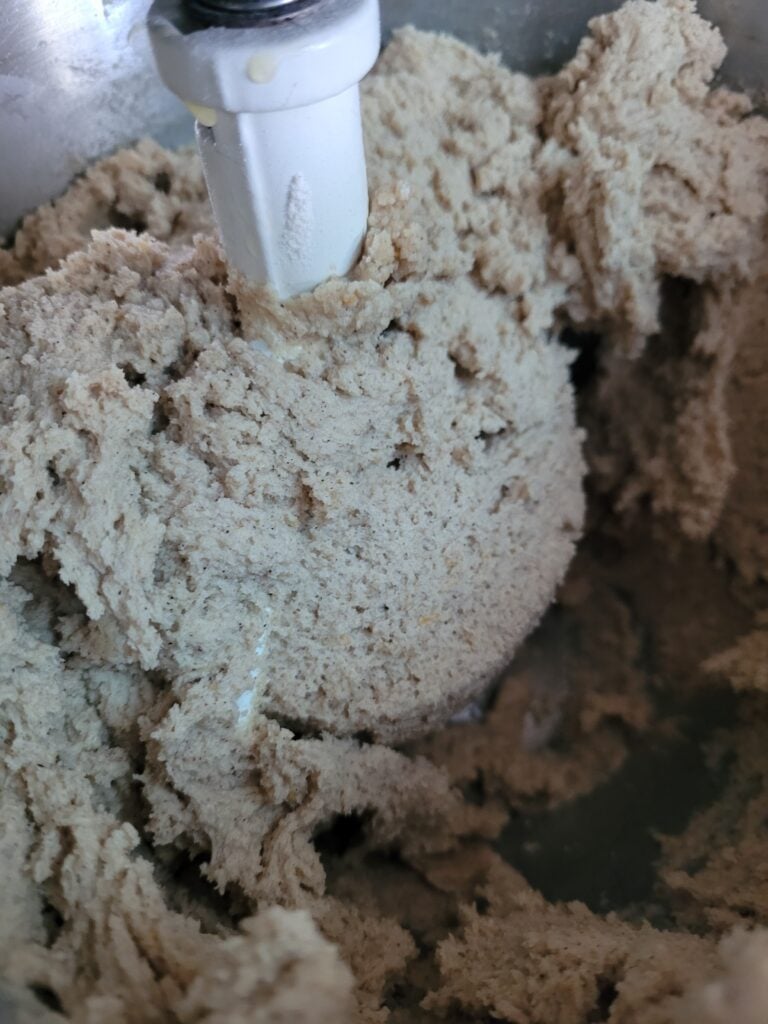 Gingerbread cookie dough after wet ingredients are incorporated