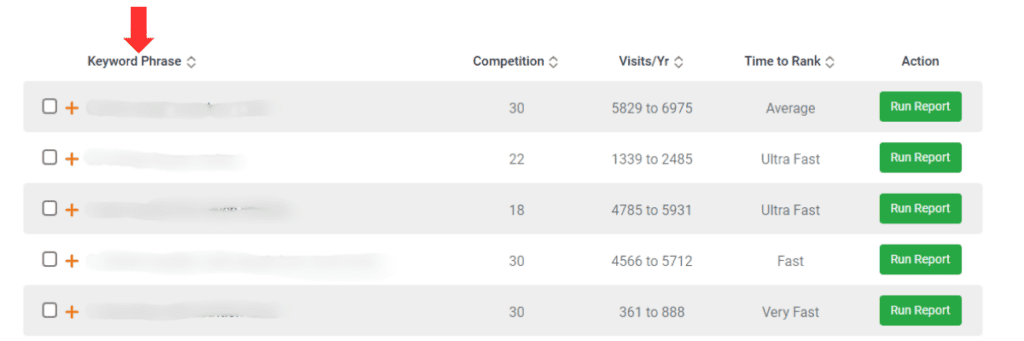 Screenshot of report from RankIQ showing keyword list by niche